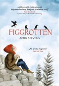 polish book : Figgrotten... - April Stevens