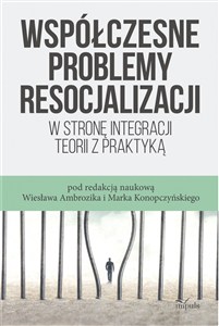 Obrazek Współczesne problemy resocjalizacji pedagogika