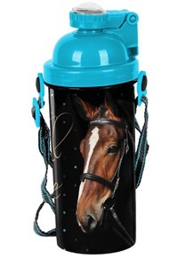 Picture of Bidon Paso Horse