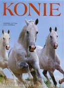 Konie Rasy... - Luca Paparelli, Susanna Cottica -  Polish Bookstore 