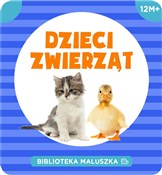 Biblioteka... - Opracowanie Zbiorowe -  books in polish 