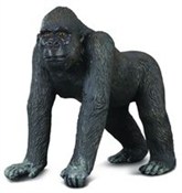 polish book : Goryl zach...