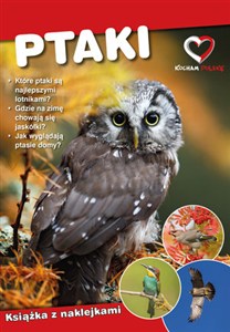Obrazek Ptaki. Ekoprzewodnik młodego odkrywcy