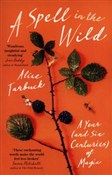 A Spell in... - Alice Tarbuck - Ksiegarnia w UK