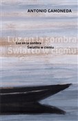 Światło w ... - Antonio Gamoneda -  foreign books in polish 