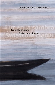 Obrazek Światło w cieniu