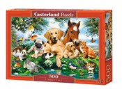 Książka : Puzzle 500...