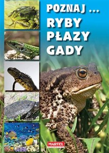 Obrazek Poznaj ryby, płazy, gady