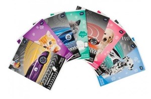 Picture of Zeszyt A5/16K linia z aplikacją (20szt)