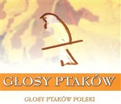 Głosy Ptak... - Opracowanie Zbiorowe -  Polish Bookstore 