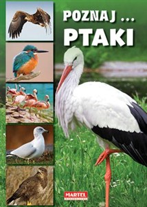 Obrazek Poznaj ptaki
