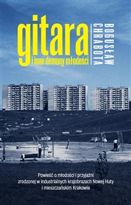 Obrazek Gitara i inne demony młodości