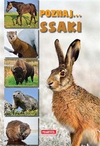 Obrazek Poznaj ssaki