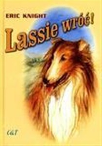 Obrazek Lassie wróć! w.2011 C&T