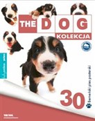 polish book : Berneński ...