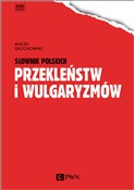 Słownik po... - Maciej Grochowski -  foreign books in polish 