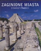 polish book : Zaginione ... - Joel Levy