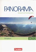 Panorama A... - Andrea Finster, Friederike Jin, Verena Paar-Grunbichler -  books from Poland