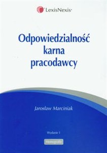 Obrazek Odpowiedzialność karna pracodawcy