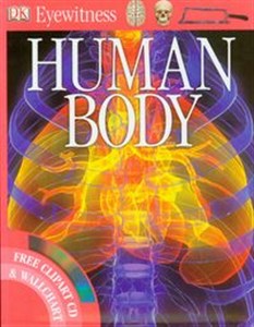 Picture of Human Body