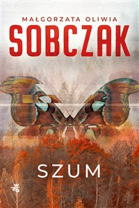 Obrazek Szum