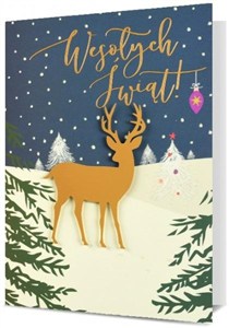 Obrazek Karnet Boże Narodzenie