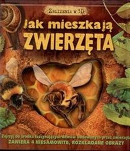 Obrazek Jak mieszkają zwierzęta
