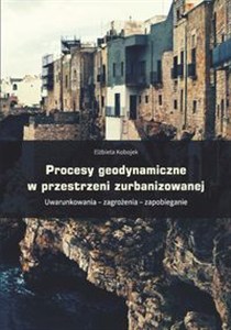 Obrazek Procesy geodynamiczne w przestrzeni zurbanizowanej Uwarunkowania – zagrożenia – zapobieganie