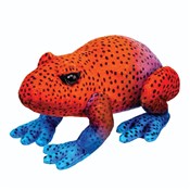 Zobacz : Żaba czerw...