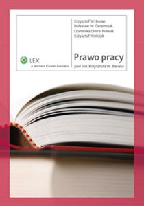 Picture of Prawo pracy