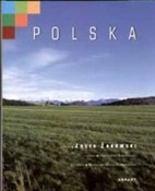 Zobacz : Polska wer... - Irena Kostrowicka, Jerzy Kostrowicki