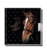 Pamiętnik ... -  Polish Bookstore 