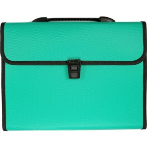Obrazek Teczka A4 z rączką 12 przegródek zielona