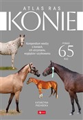 Polska książka : Konie Atla... - Katarzyna Piechocka