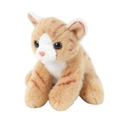 Kot siedzą... -  Książka z wysyłką do UK