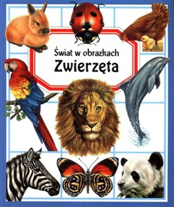 Obrazek Świat w obrazkach Zwierzęta