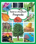 Zobacz : Świat w ob... - Emilie Beaumont, Marie-Renee Guilloret