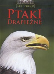 Obrazek Świat zwierząt Ptaki drapieżne