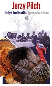 Obrazek Indyk beltsville Opowiadania zebrane