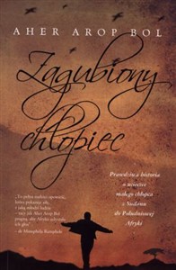 Picture of Zagubiony chłopiec