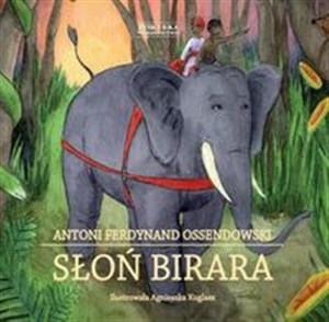 Obrazek Słoń Birara