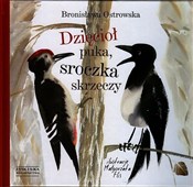 Dzięcioł p... - Bronisława Ostrowska - Ksiegarnia w UK