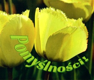 Obrazek Pomyślności perełki