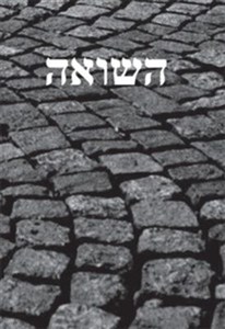 Picture of Pamięć Shoah Kulturowe reprezentacje i praktyki upamiętnienia