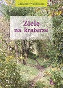 Zobacz : Ziele na k... - Melchior Wańkowicz
