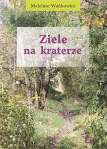 Obrazek Ziele na kraterze