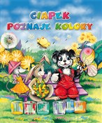 Ciapek poz... - Jolanta Adamus-Ludwikowska (ilustr.) -  Polish Bookstore 