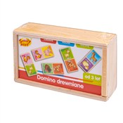 polish book : Domino dre...