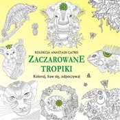 Książka : Zaczarowan... - Anastasia Catris