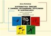 Polska książka : Systematyk... - Jerzy Kołodziej